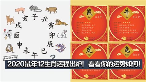 生肖 | 12生肖运程排行榜出炉！TOP 1生肖属鸡 最后一名生肖属猴 | Xuan