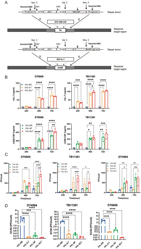 Oncolytic Vaccinia Virus Armed with GM-CSF and IL-7 Enhances Antitumor ...