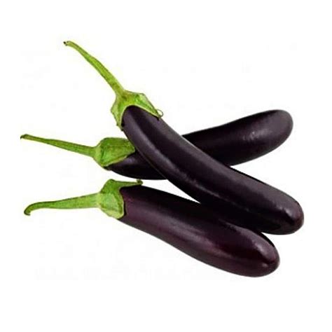 Brinjal Long Black – JITCO