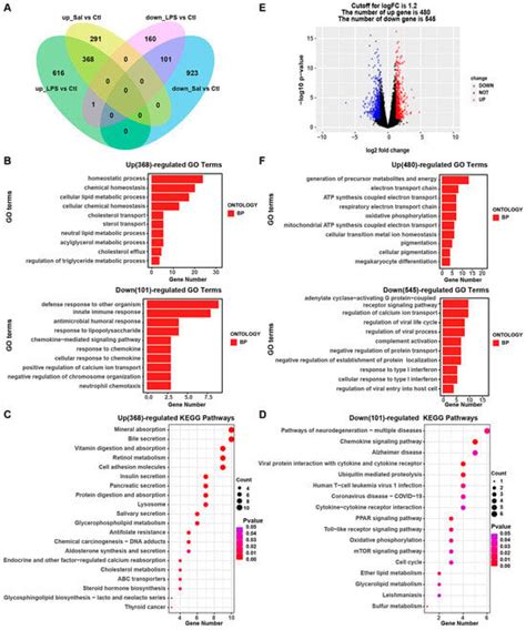 The Metabolic Pathway of Bile Secretion Is Vulnerable to Salmonella ...