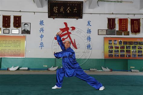 沧州武术（六合拳）-体育非物质文化遗产
