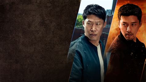 Confidential Assignment 2: International (2022) - AZ Movies