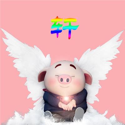 天使猪猪姓氏头像，彩虹色的字体看起来很漂亮的-可爱头像