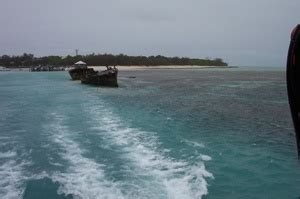 Image result for HMAS Protector