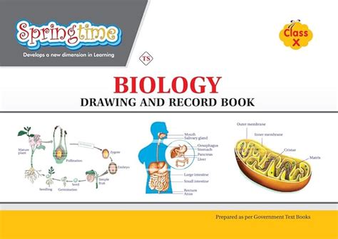 CLASS 10 - Biology Drawing & Record Book - TELANGANA : SPRINGTIME ...