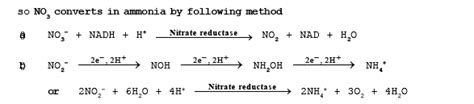 Nitrogen Metabolism - Biology for JAMB PDF Download