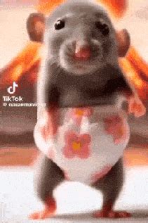 rat-dance | Free Animated GIFs Download