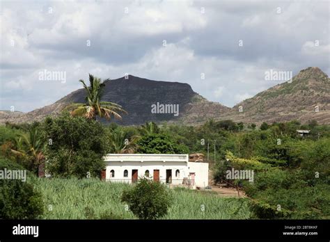 Village 的图像结果