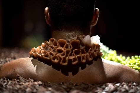 Examples of Human Modification 的图像结果