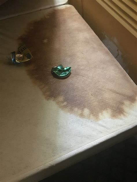 COACHMAN INN (Hemingway) - Motel Reviews & Photos - Tripadvisor