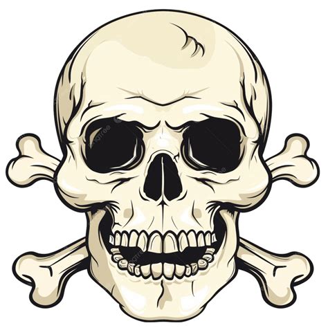 Cartoon Skull With Crossed Bones, Skull, Horor, Bone PNG Transparent Image and Clipart for Free ...