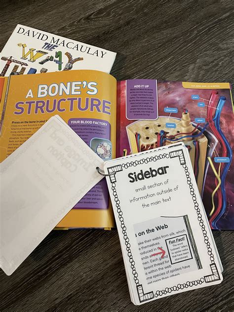 Image result for Examples of Text Features