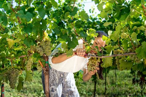 Academic calendar • UNG