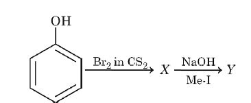 In the above sequence of reactions, the major products X and Y are
