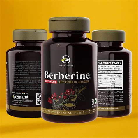 Berberine Advanced Pack of 1 - 60 Veg Berberine Capsules 500mg – Sugar ...