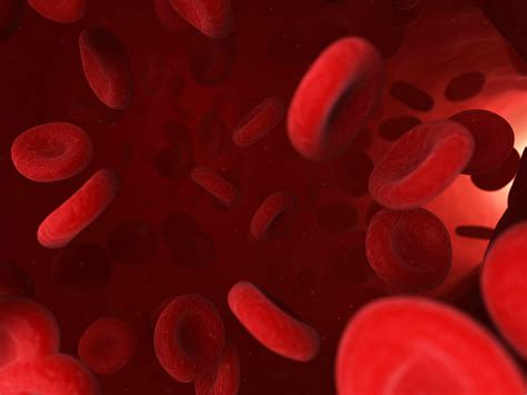 Image result for Blood Gang Handshake Tutorial