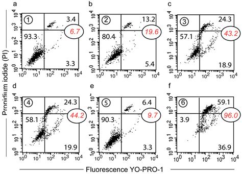 Highlighting Curcumin-Induced Crosstalk between Autophagy and Apoptosis ...