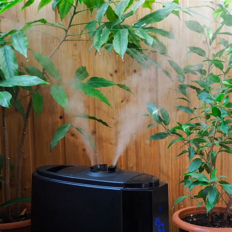 Image result for Dyson Humidifier