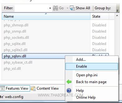 SQL Server PHP Connection IIS 的图像结果