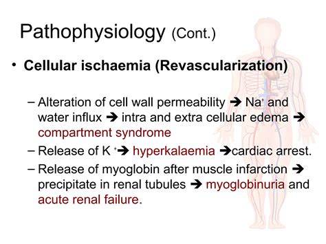 Acute limb ischemia | PPT