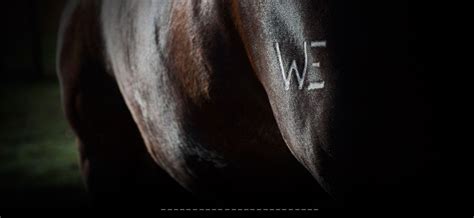 Dr. Ben Sykes educating about Equine Gastric Ulcers - RVSP, 1877 ...