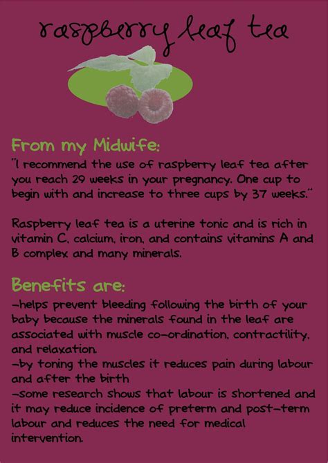 Raspberry Tea Benefits In Pregnancy at Laura Mullen blog