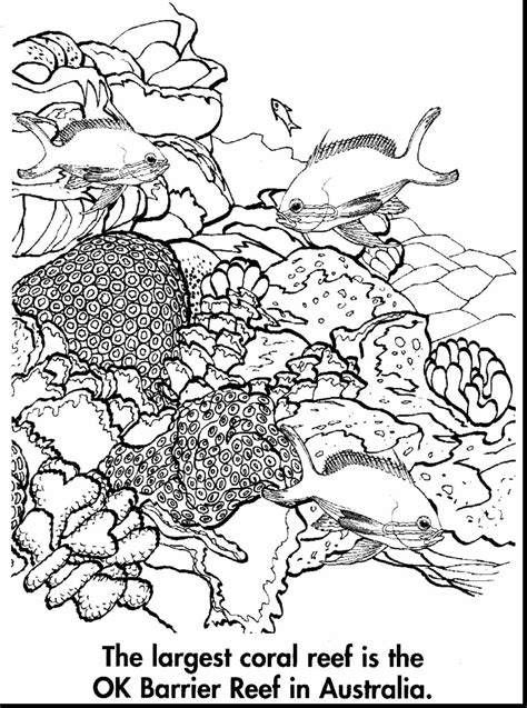 Great Barrier Reef Coloring Pages Sketch Coloring Page