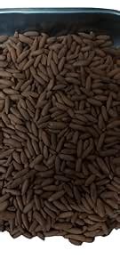 Brown Bag Fresh Chilgoza in shell/Pinenuts : Amazon.in: Grocery ...