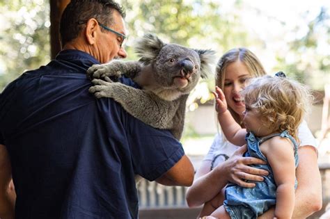 Image result for Perth Outback Spalsh