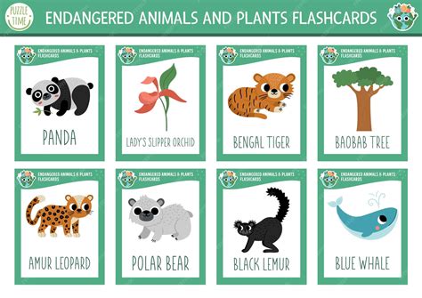 Premium Vector | Vector flash cards set with extinct animals Ecological ...