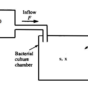Image result for Chemonasty Example