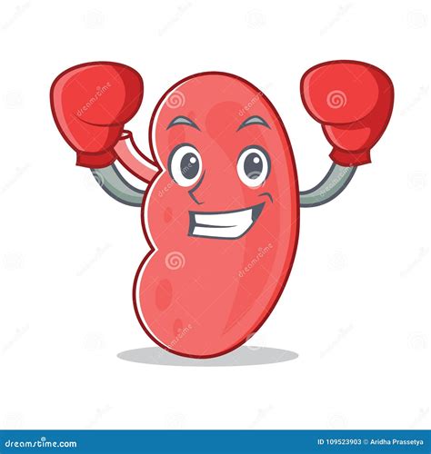 Renal Clip Art