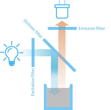 Image result for How Does Fluorescence Spectroscopy Work