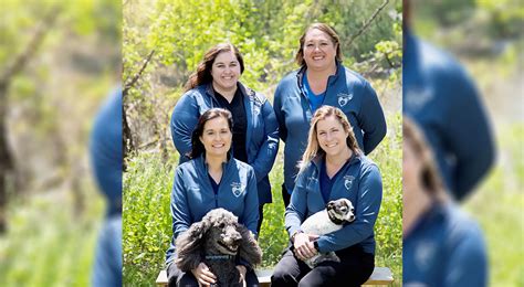North River Animal Hospital - Veterinarian in Fort Gratiot, MI US