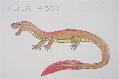 SCP 4307 的图像结果