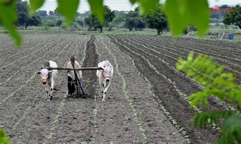 Union Budget 2024-25: Focus on Agriculture and Allied Sectors