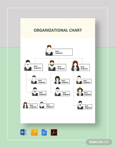 10+ Hierarchy Organizational Chart Examples to Download