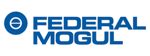 FMGOETZE Share price NSE | Federal-Mogul Goetze (India) Ltd Stock price ...