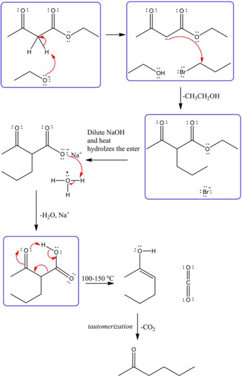 Predict the major organic product of the following reaction and ...