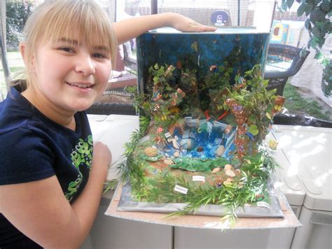 Jungle Ecosystem Diorama Tropical Rainforest Ecosystem | Rainforest