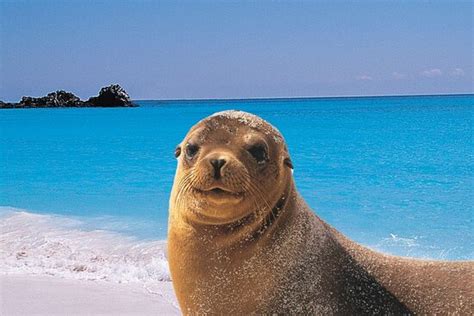 Viajatelo EC - Santa Cruz | Tripadvisor