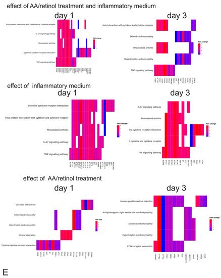 Ascorbic Acid/Retinol and/or Inflammatory Stimuli’s Effect on ...