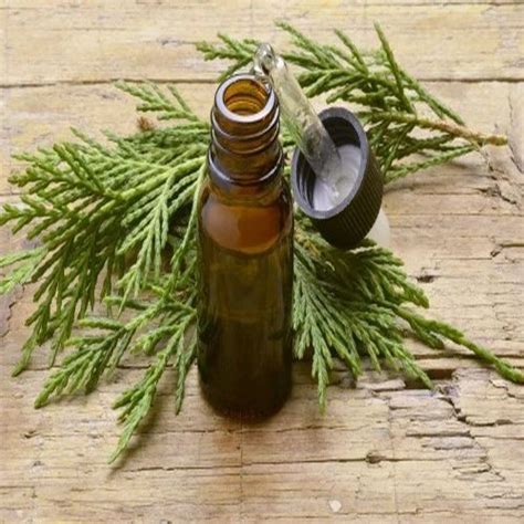 Exotic Oils ( Natural ) Manufacturer, Exporter & Supplier from ...