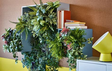 Houseplants: a basic guide to growing - IKEA