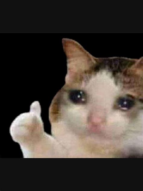 "Crying Cat Thumbs Up Meme" Essential T-Shirt for Sale by cnon626 ...