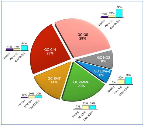 Implementing an On-Slide Molecular Classification of Gastric Cancer: A ...