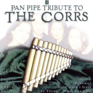 Panpipe Tribute to T: Davis, Chrys: Amazon.in: Music}