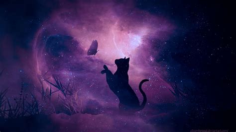 Download wallpaper 2560x1440 cat, silhouette, butterfly, starry sky ...
