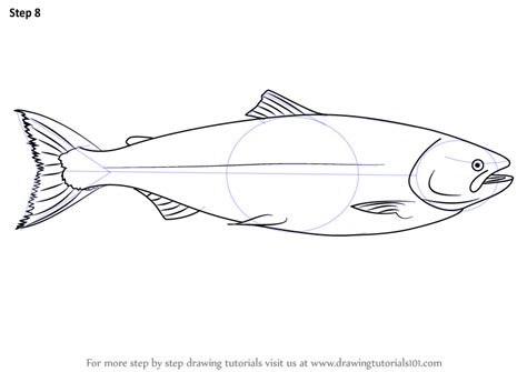 How to Draw a Salmon (Fishes) Step by Step | DrawingTutorials101.com