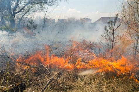 Does My Homeowners Insurance Cover Wildfires? | Medina OH